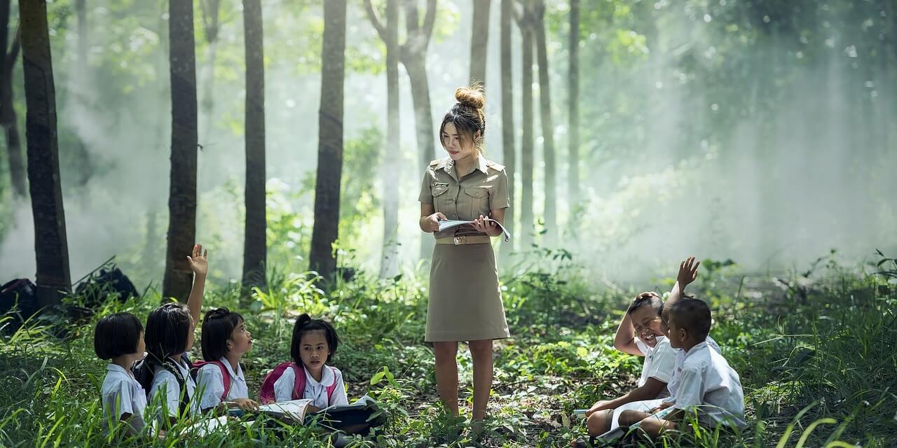 Class in the forest