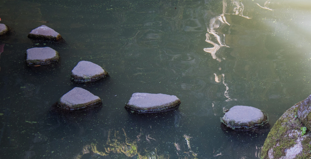 Stepping stones in river